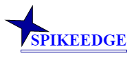 SpikeEdge Logo